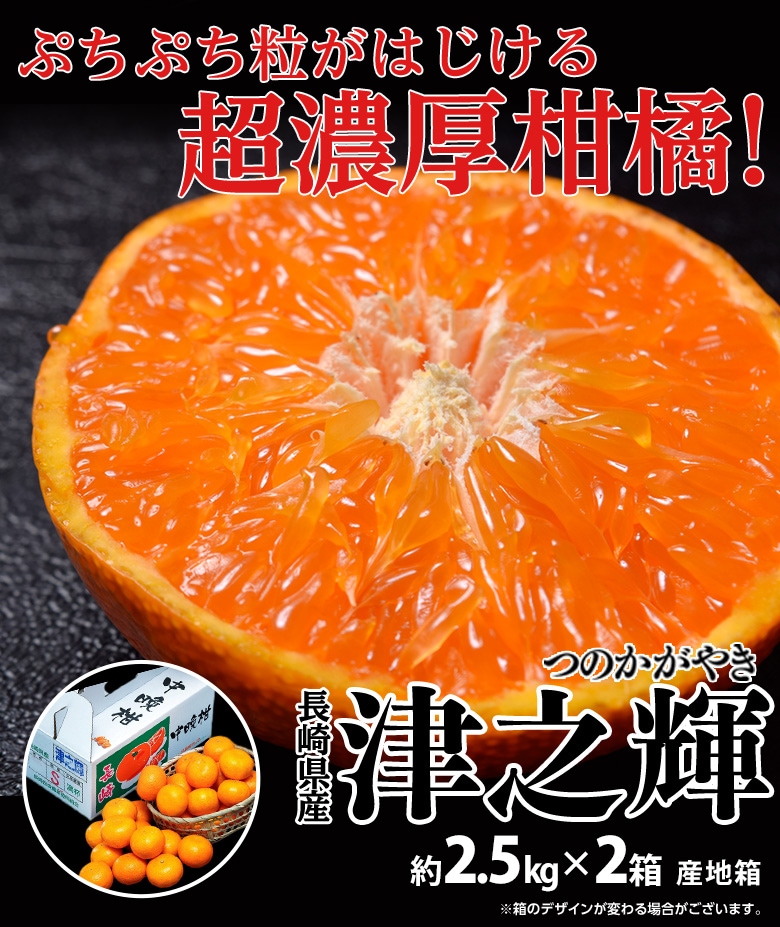 計5キロ(約2.5kg×2箱 2S〜L)】津之輝（つのかがやき） 長崎県産柑橘を