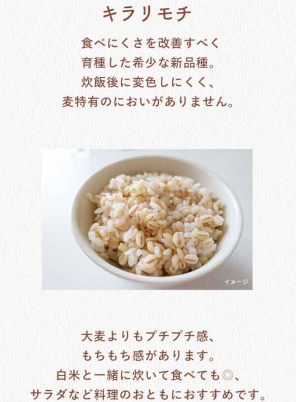 国産もち麦セット10kg（岡山県産キラリモチ5kg+ダイシモチ5kg）令和4