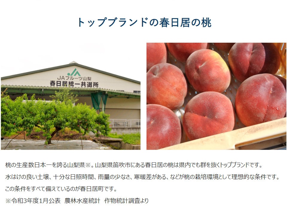 豊洲市場に出荷してる桃の若桃　１０キロ　加工用