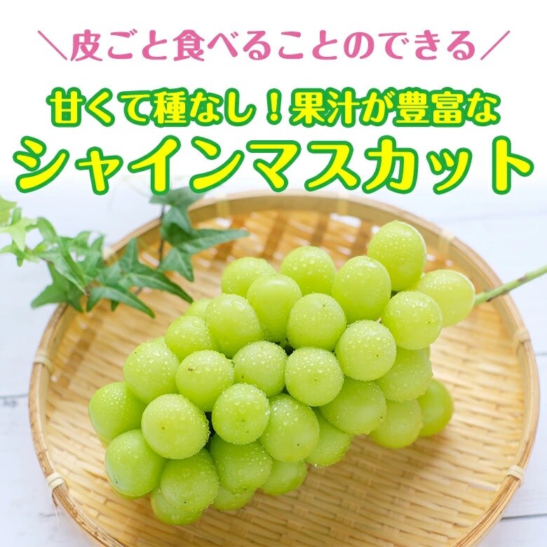 1kg前後】地域厳選 シャインマスカット(ご家庭用)を税込・送料込でお