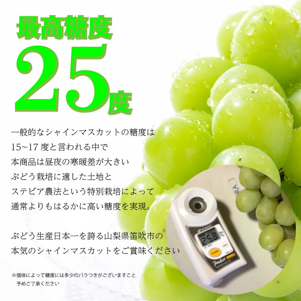 お1人様1点限り】 c4 クール便 シャインマスカット 5Kg - 食品