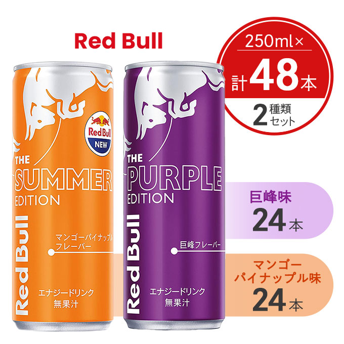 Red Bull レッドブル250ml 2ケース(48本) 【52%OFF!】 - ソフトドリンク