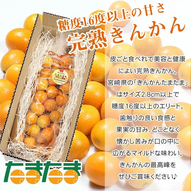 完全無農薬 金柑 キンカン 広島県産 1kg 完熟 - 果物